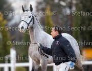 Cadoro Tosc Tour2013- S5 1633 : Arezzo, Cadoro, Cavalli d'Italia, Toscana Tour 2013, foto di Stefano Secchi ©